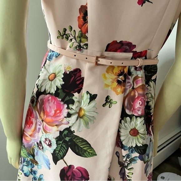 Ted BAKER DEAVON WOMEN'S OIL PAINTING Floral Sleeveless Belted DRESS NUDE PINK 6 - Picture 8 of 15
